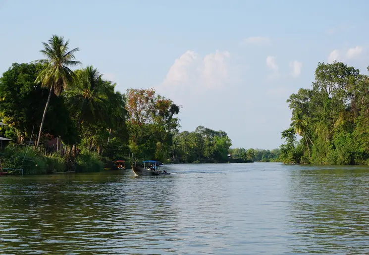 Het uitzicht vanaf de cruise over de Mekongdelta