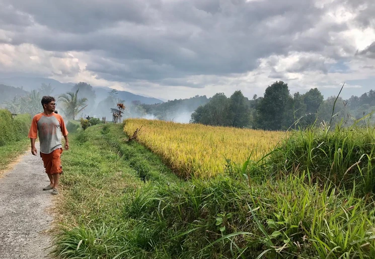 Maak wandelingen in de omgeving van Munduk.