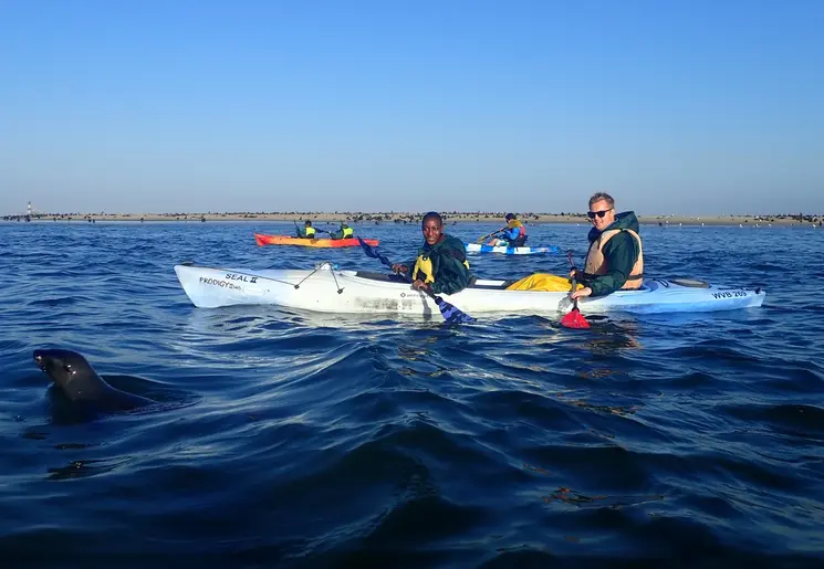 Kajakken met zeehondjes in Namibië