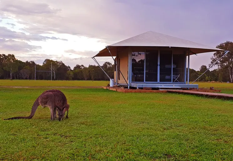 Glamping tussen de kangaroos, Noosa Habitat Australië Glamping tussen de kangaroos, Noosa Habitat Australië