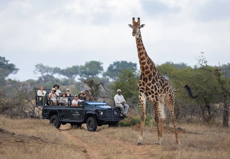 Op jeepsafari in Zuid-Afrika opzoek naar dieren