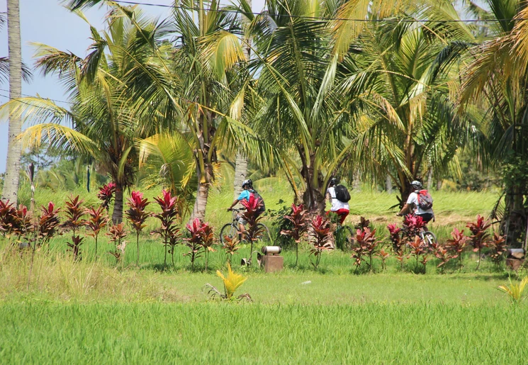 Fietsen door Blayu, Bali Fietsen door Blayu, Bali