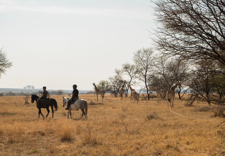 Paardrijden door Mlilwane, Swaziland