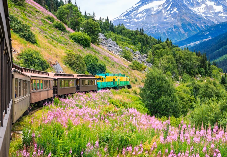 Treinreis bij Skagway, Alaska, Amerika Treinreis bij Skagway, Alaska, Amerika