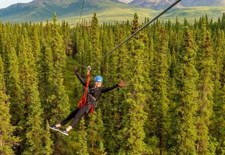 Ziplinen bij Denali National Park, Alaska, Amerika Ziplinen bij Denali National Park, Alaska, Amerika