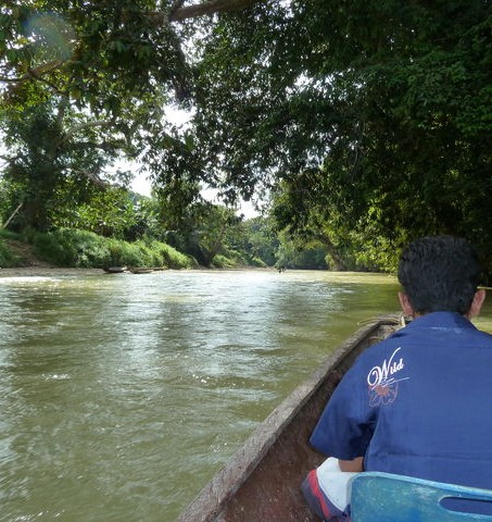 Boottocht door de jungle van Batang Ai, Sarawak, Maleisisch Borneo