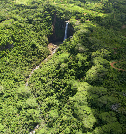 Veel groene natuur met een waterval op Mauritius