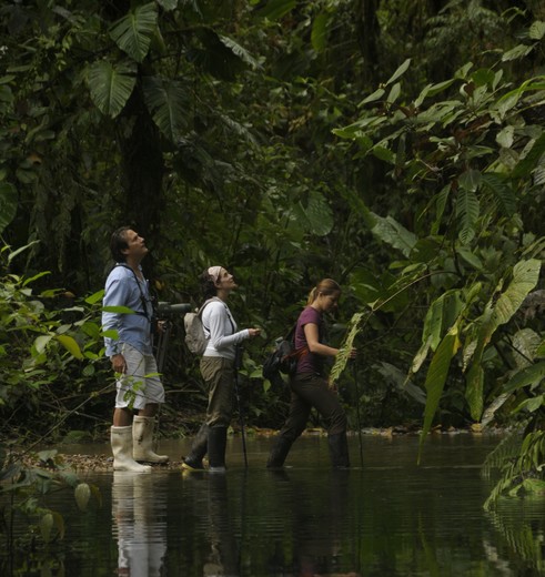 Wandelen bij Mashpi Lodge in Ecuador
