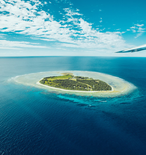 Lady Elliott Island is een snorkelparadijs