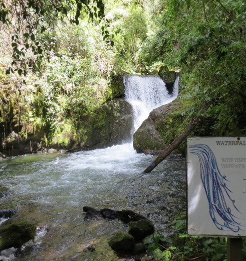 ACTIEF-1-04a4dd06(5)