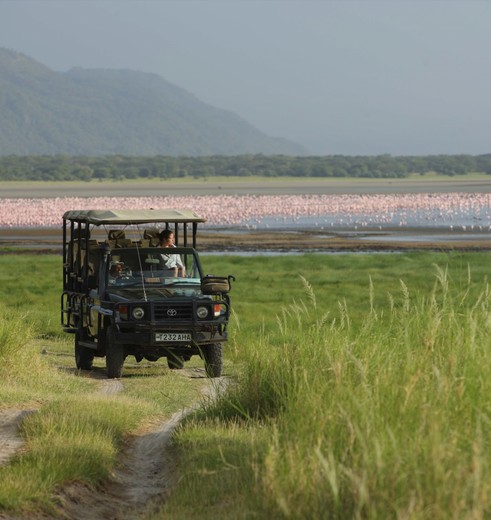 Safaritochten bij Lake Manyara