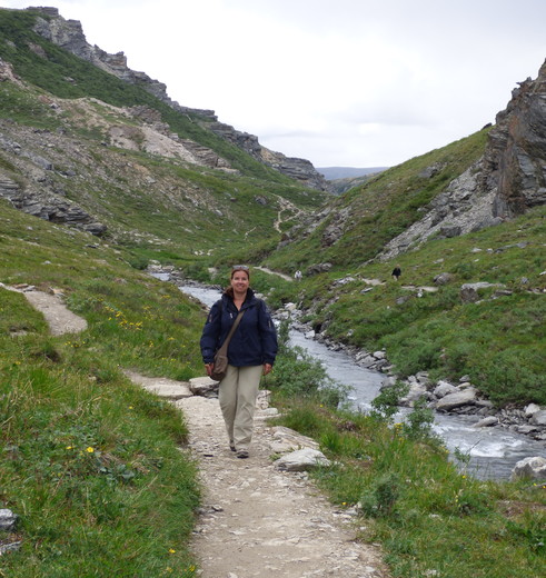 Wandelen in Denali National Park, Alaska, Amerika
