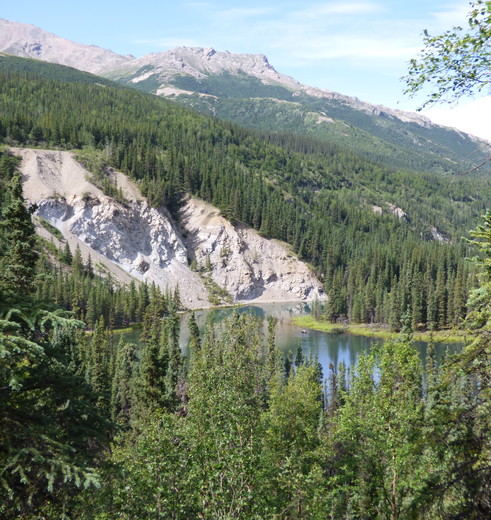 Ruige en ongerepte natuur in Denali National Park, Alaska