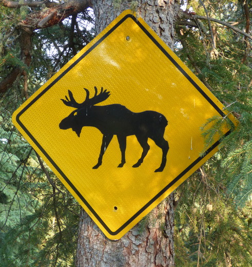 Bijzonder verkeersbord in Yukon en Alaska