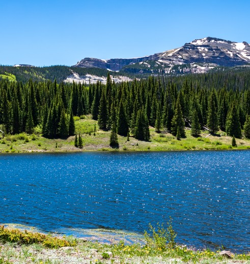 Ongerepte natuur in Alaska