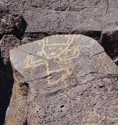 Bijzondere rotstekeningen in het Petroglyph National Monument, New Mexico, Verenigde Staten