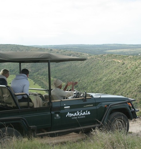 Amakhala-Jeepsafari Amakhala-Jeepsafari