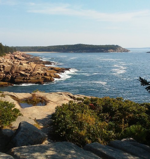 Amerika-Acadia-Kust