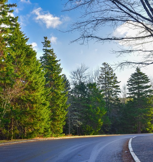 Amerika-Acadia-Onderweg