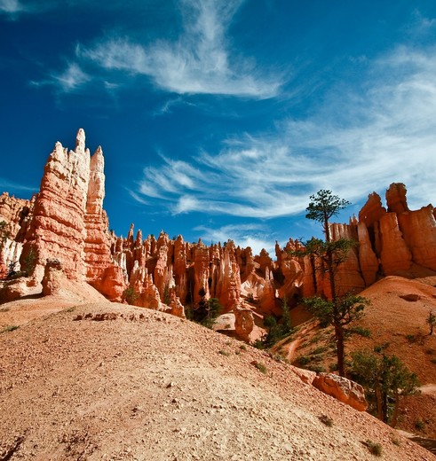 Amerika-Bryce-Canyon-3