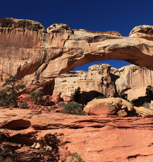 Amerika-Capitol-Reef-Hickman-Bridge_1_511363