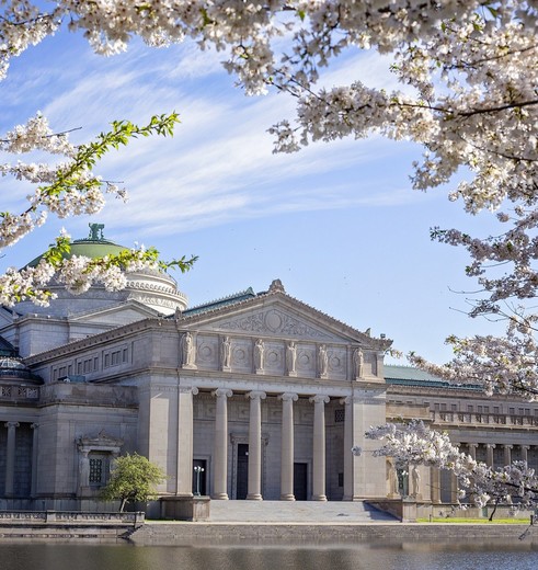 Amerika-Chicago-Museum-of-Science