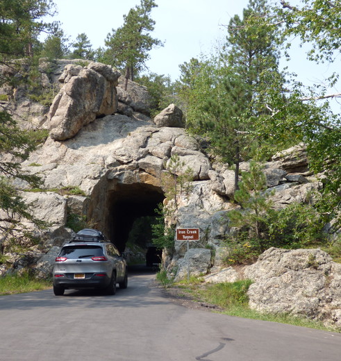 Amerika-Custer-State-Park-1