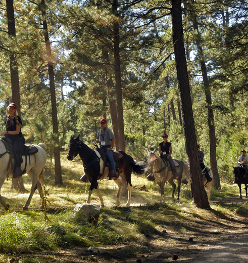 Amerika-Custer-State-Park-CREDIT-Travel-South-Dakota