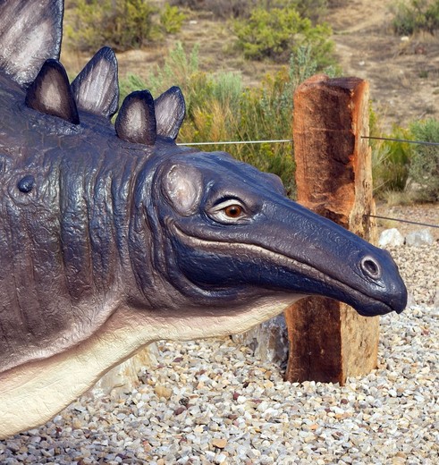 Amerika-Dinosaur-National-Monument-2