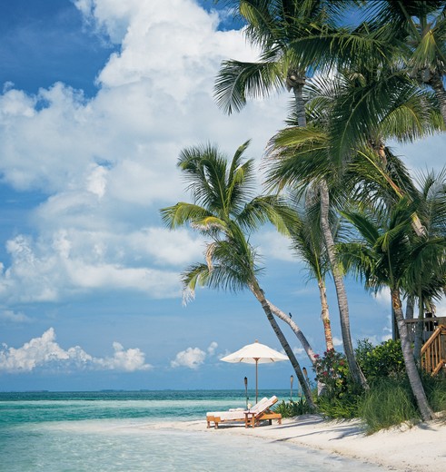 Amerika-Keys-Little-Palm-Island-Resort_1_518215