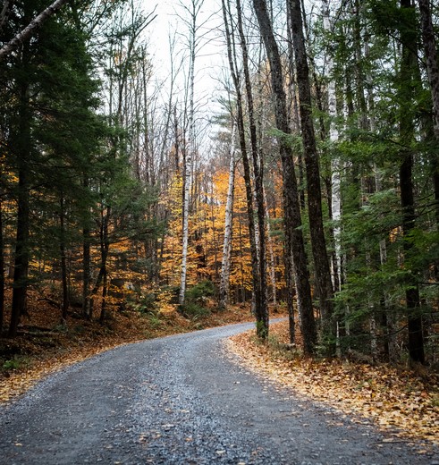 Amerika-Lake-Placid-2