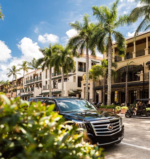 Amerika-Naples-Fifth-Avenue-South-1 Amerika-Naples-Fifth-Avenue-South-1