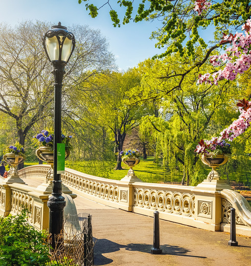 Wandel over het bekende bruggetje van New York City, Bow Bridge, in Amerika