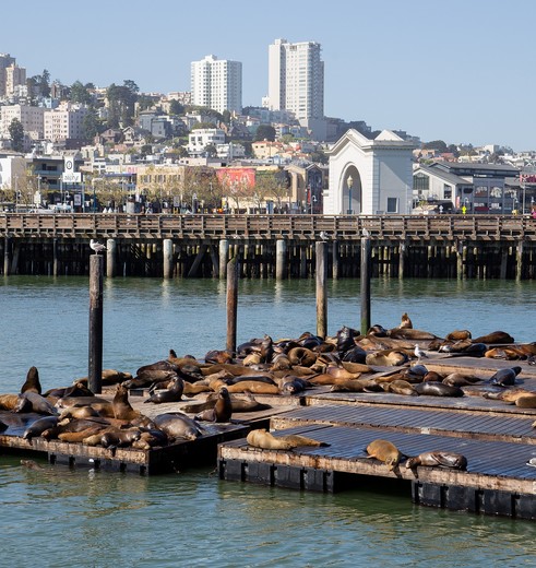 Amerika-San-Francisco-Fishermans-Wharf