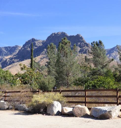 Amerika-Sequoia-National-Park-1