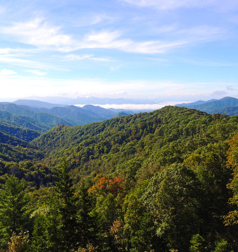 25f1e35f-ecdd-4f53-99d0-b1f983248828