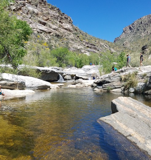 Amerika-Tucson-Saguaro-NP-1