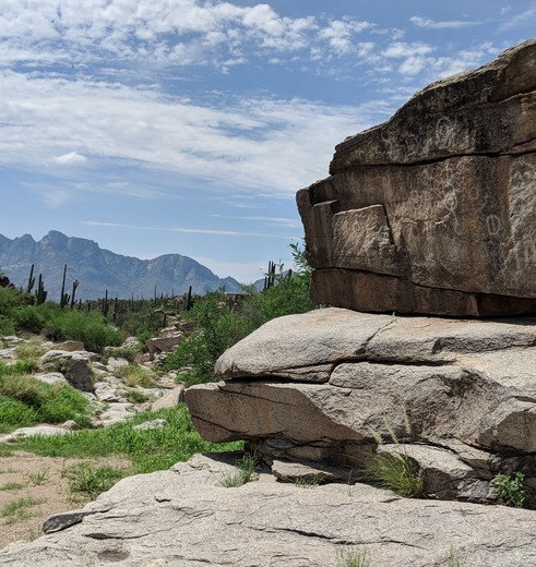 Amerika-Tucson-Saguaro-NP-3