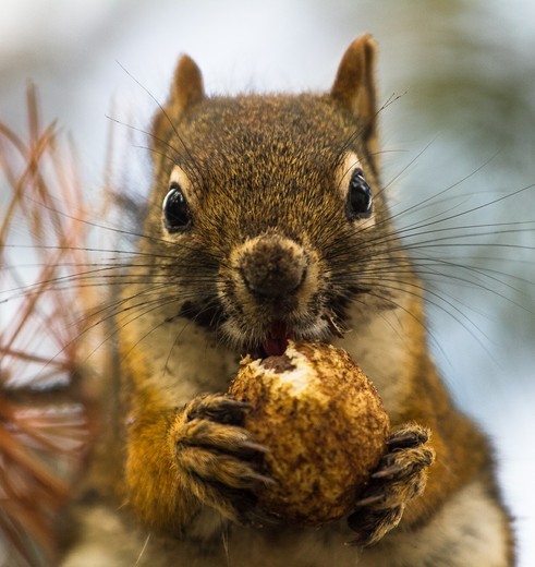 719b9c5c-7d38-421b-9954-30a2cc144d99