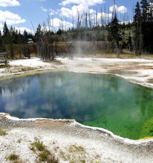 Amerika-Yellowstone-national-park-4