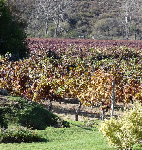 8e978060-84d1-427e-aeb3-061f0b2accd5