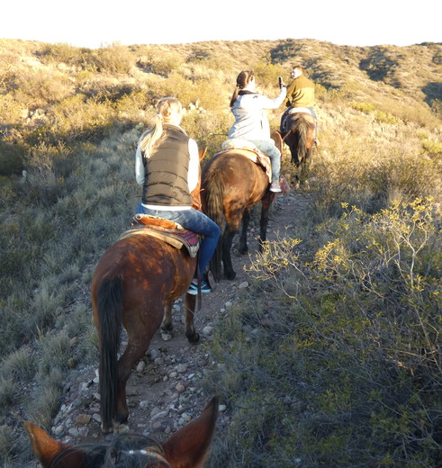 Te paard de heuvels van Mendoza op