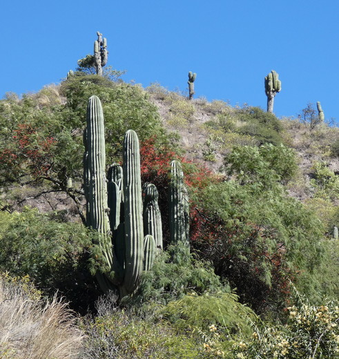 72886f98-22ca-43b3-bca4-2f8f3e16d976