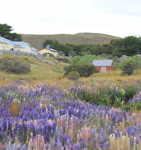 3f6342d5-c439-4619-afdf-868292f946cd