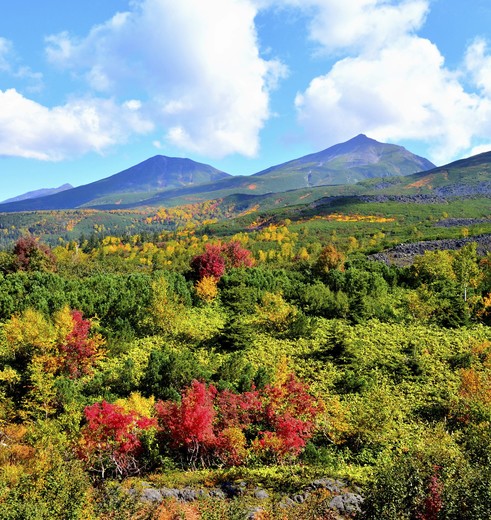 Berglandschap in Asahidake Onsen, Japan