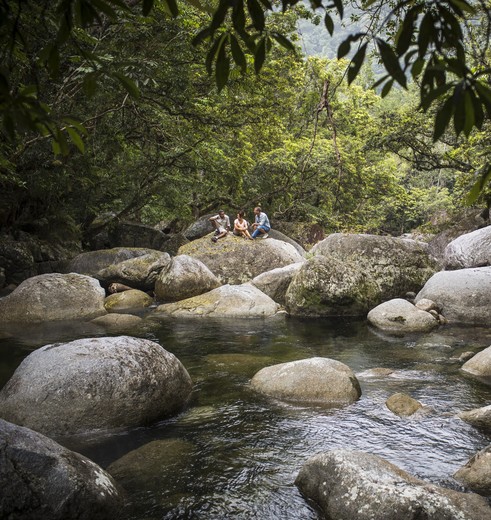 Het Daintree Rainforest is het oudste regenwoud ter wereld en gaat vloeiend over in de ongerepte stranden bij Cape Tribulation