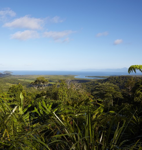 Geniet van het uitzicht en het groene Daintree Rainforest, Australië - © Tourism Australia