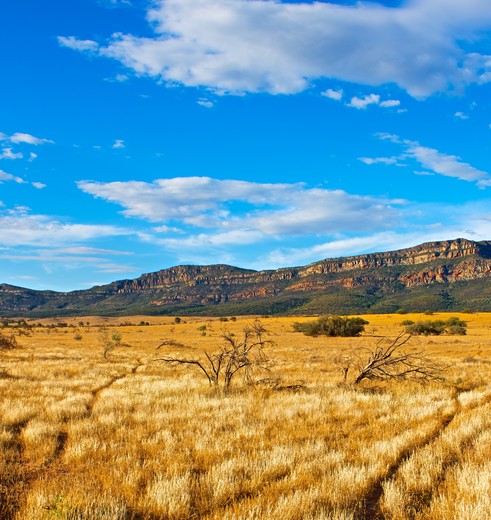 Australie-Flinders-Ranges-oeroude-landschap_1_560461 Australie-Flinders-Ranges-oeroude-landschap_1_560461