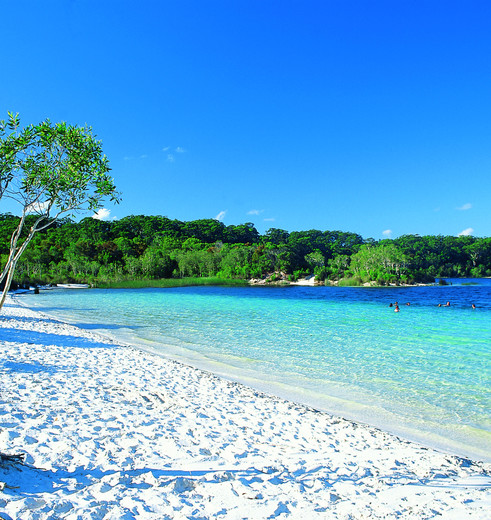 Australie-Fraser-Island-Lake-McKenzie-1