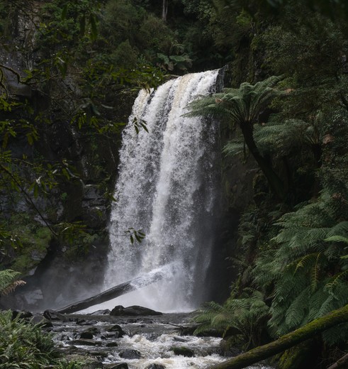Australie-Great-Ocean-Road-Otway-waterval